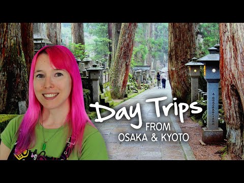 Vidéo: 8 Excursions d'une journée au départ d'Osaka