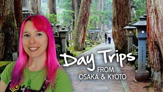 Day Trips from Osaka & Kyoto ⛩  (Kansai, Japan)