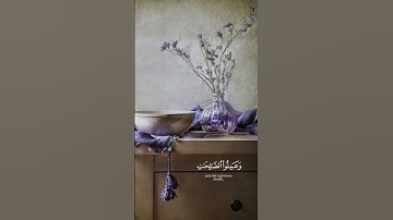#قرآن #القران_الكريم #تلاوة_هادئة #تلاوة_خاشعة #تلاوات #اللهم_صل_وسلم_على_نبينا_محمد #الله #الحمدلله