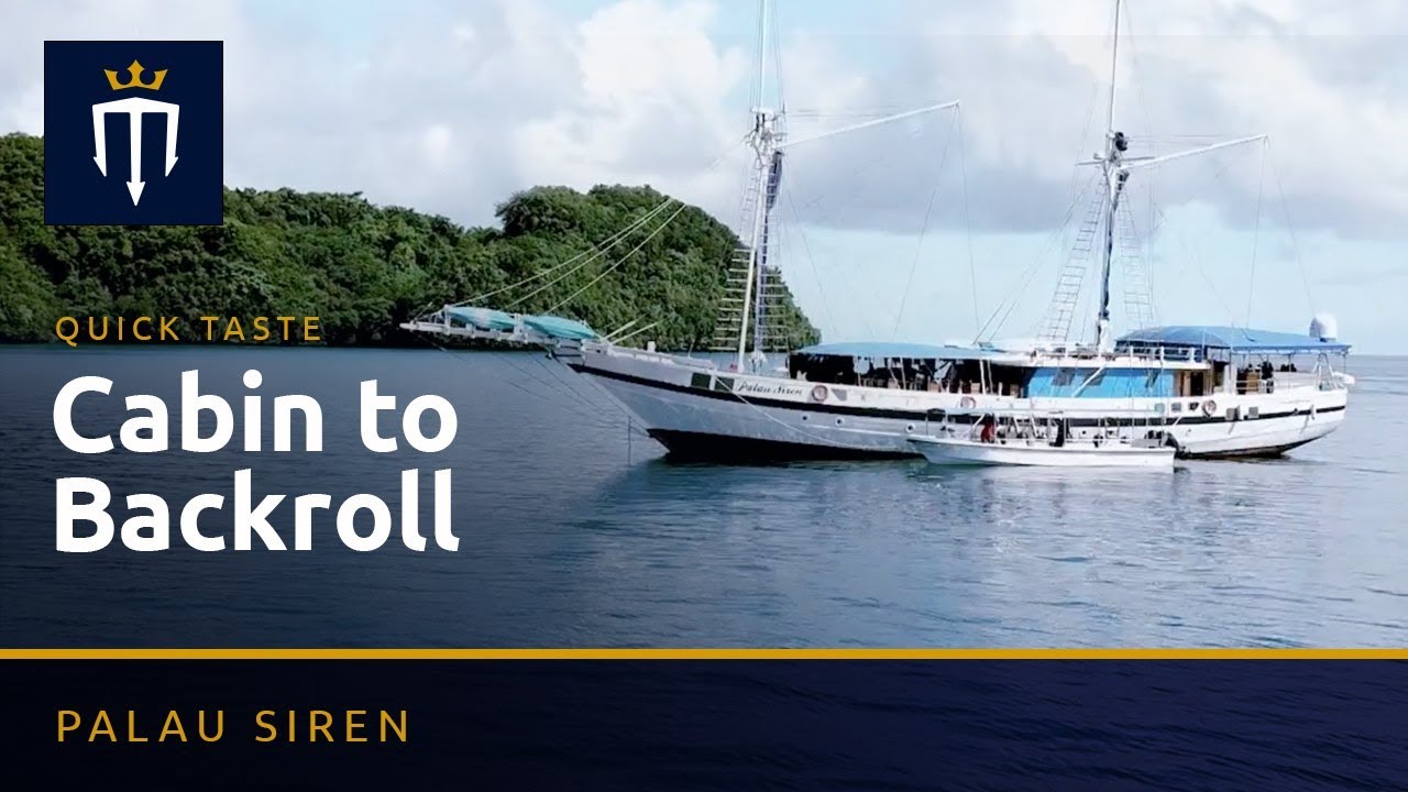 Cabin to Back Roll in Palau