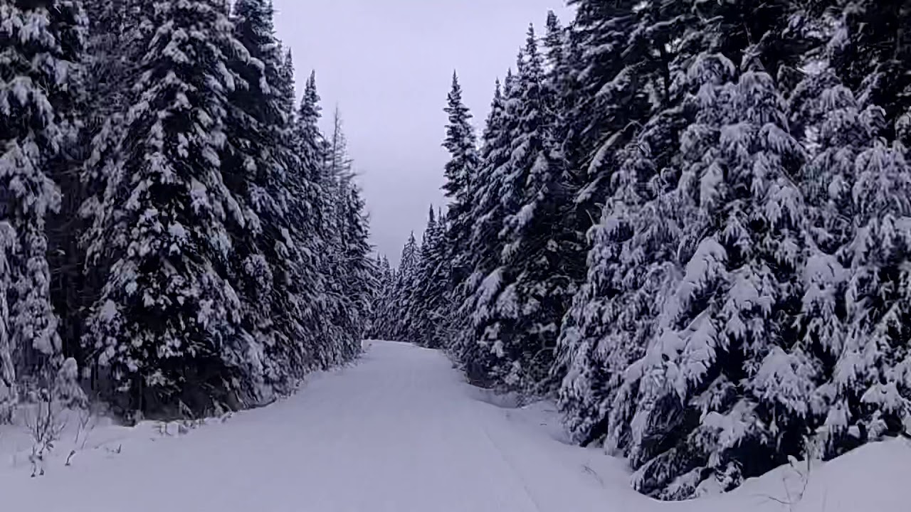 Snowmobile Trail Riding. Pittsburg, NH YouTube