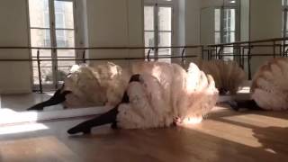 Extrait- Cours Danse et Éventails en Plume par Vivi Valentine