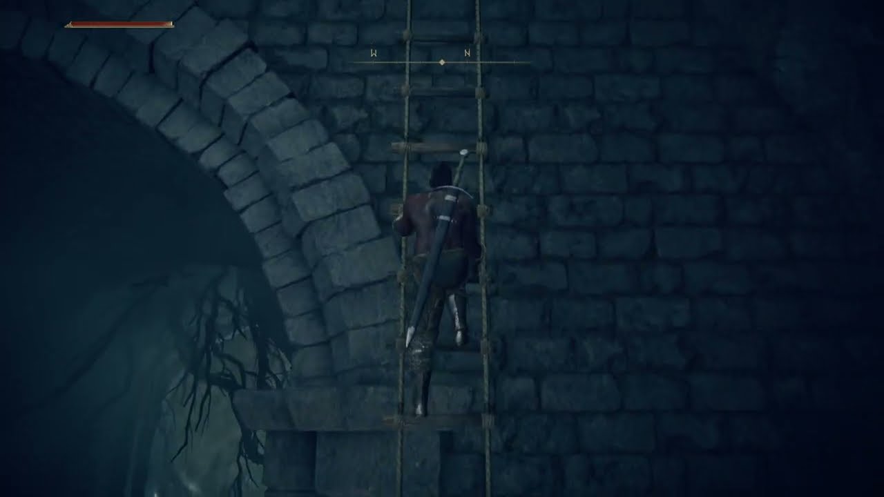 When you find a long ladder in Elden Ring...