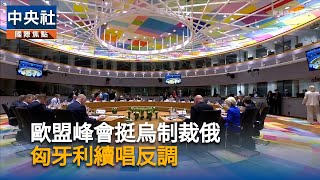 歐盟承諾援烏克蘭財政2年　暫擱置動用俄國遭凍資產計畫