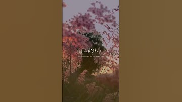 تلاوة هادئة تريح الأعصاب😴🎧 القارئ: رعد الكردى سورة: المؤمنون 💙❤