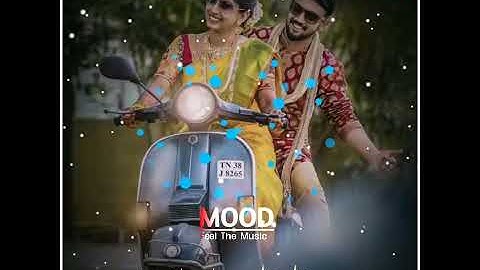 Green screen whatsapp status video || Square Size avee player template download,Square Size template