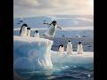GERONIMO - THE PENGUIN WHO THOUGHT HE COULD FLY (Books before screens.) (Tiny hands,big imagination)
