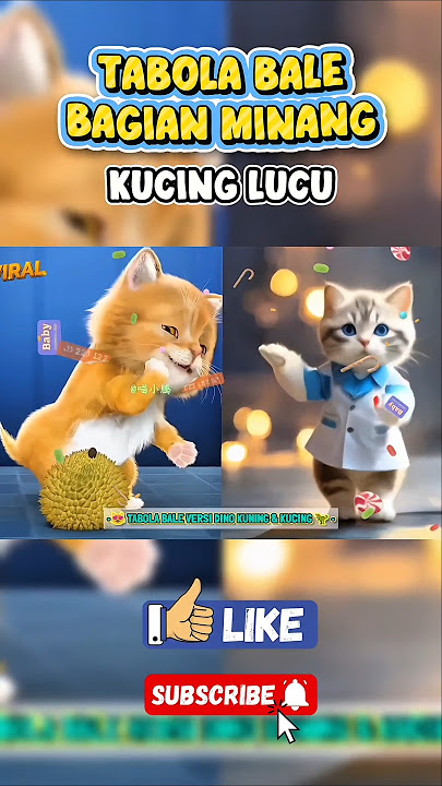 Tabola Bale Versi Kucing Lucu #shorts