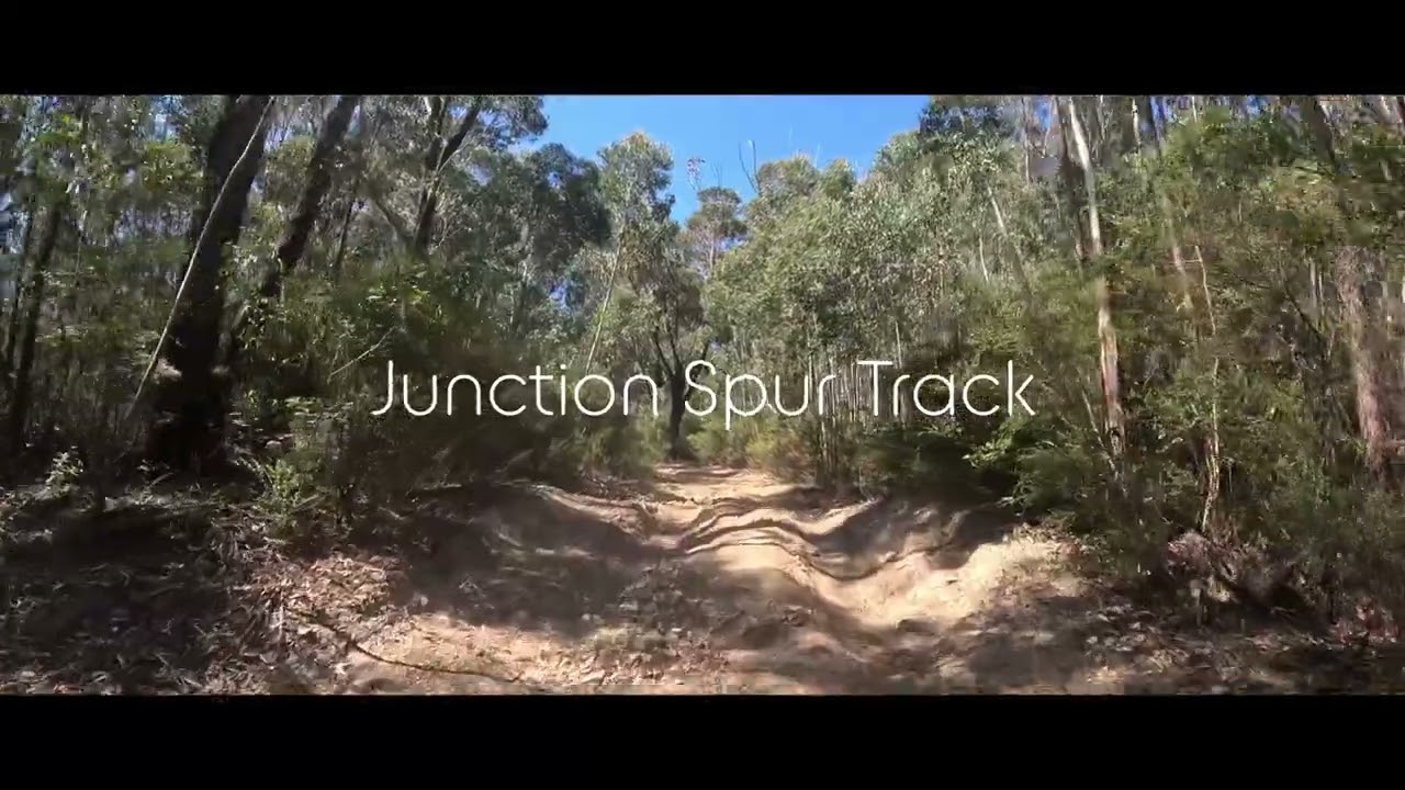 Top of Billy Goat Bluff to Dargo