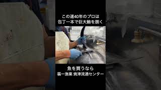 包丁一本?!この道40年のプロが捌くクロマグロ
