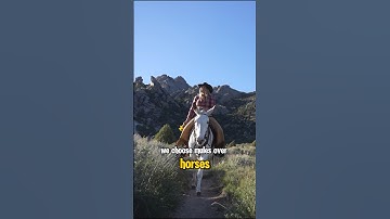 Top 3 Reasons To Ride Mules #horse #mule #equestrian