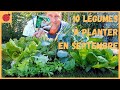 10 légumes à planter en septembre au potager !