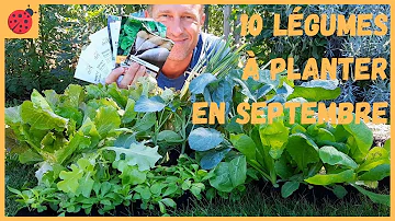 Quel légume planter en septembre-octobre