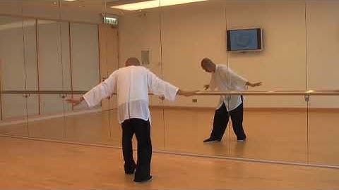 Follow the Master shibashi set 1 tai chi