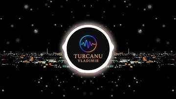 Stillness | Ambient Electronic Music Video — Turcanu Vladimir