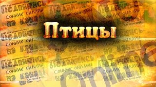 К чему снится Птицы? Сонник. Бесплатное толкование снов онлайн(Сонник онлайн толкователь снов со значением Птицы показывает какие последствия могут произойти дальше...., 2016-12-20T06:45:40.000Z)