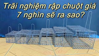 Rập chuột cống nhum,cống lang,chuột đồng..vv 7nghìn