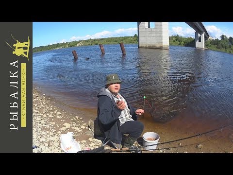 ловить рыбу на реке волхов ловить рыбу на реке волхов