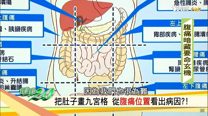 肚子痛却不会说？把肚子画九宫格，从腹痛位置看出病因！健康2.0 - 天天要闻