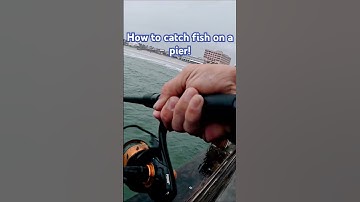 How to catch fish on a pier! #fishing #catchncook #subscribe #fish #saltwater #spanishmackerel