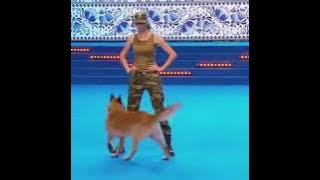14062259 1688403731482387 2038185366 n
