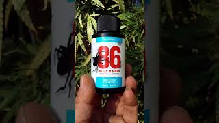 How I'm dealing with bugs in my garden