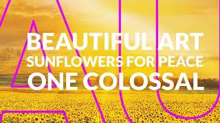🌻💙🌻 Sunflowers for Ukraine • Amazing Collaboration 🌻💙🌻