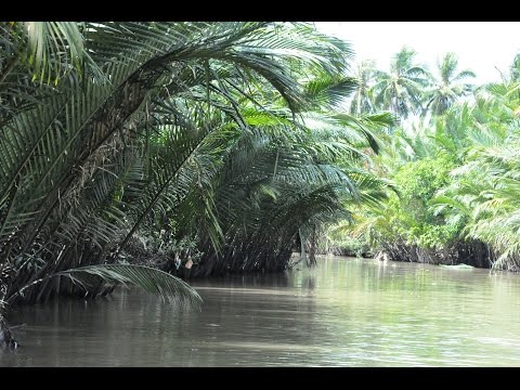 Видео: Экскурсия в дельту Меконга