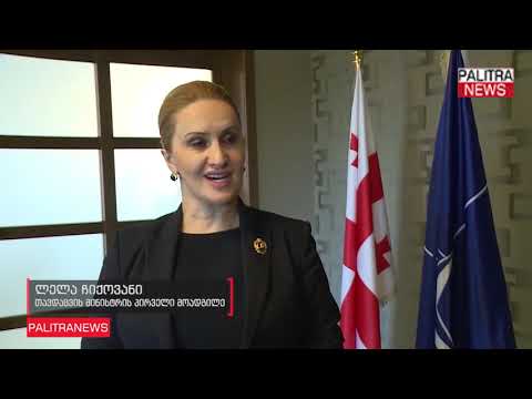 საქართველოს თავდაცვის მინისტრის პირველი მოადგილე ნატოს გენერალური მდივნის მოადგილეს შეხვდა