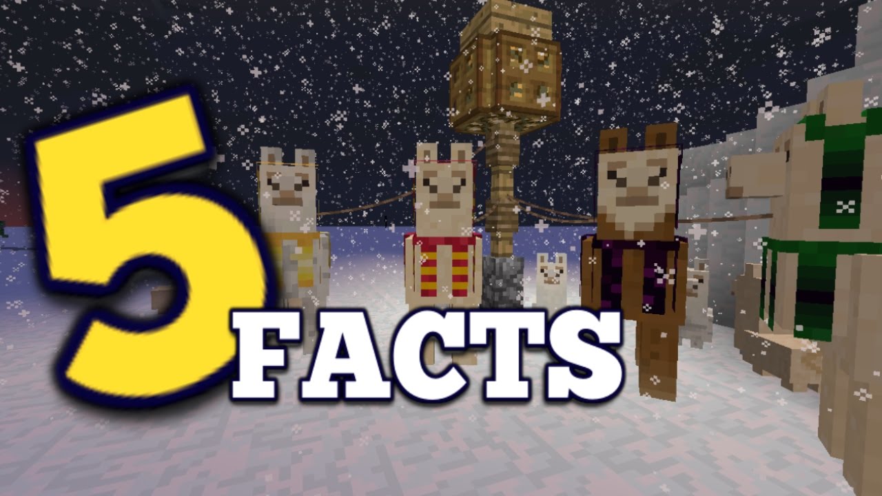 5 Facts You Didn T Know About The Llama Minecraft Blog