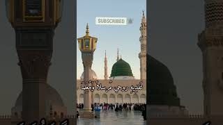 الى من اخرجنا من الظلمات الى النور _ فداك ابي وامي يا رسول الله _حالات واتس اب دينيه ❤️🌹#shorts