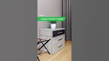 How to Prevent Bed Bugs in Your Luggage: Travel Tips!