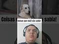 Coisas sobre animais que você NÃO SABE!! 😳 #shorts #viralvideo #fypyoutube #fypviral #fypfeed #viral