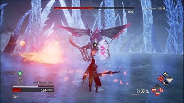 Code Vein: Frozen Empress Difficulty 10 Hitless Solo