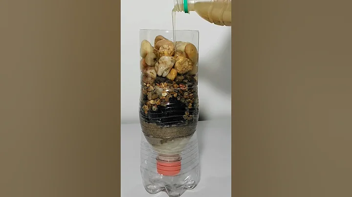 DIY Water Filter #diy #scienceproject #shorts
