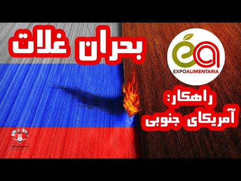 فرصت اقتصادی واردات گندم و غلات در شرایط جنگ روسیه آینده تجارت بین الملل