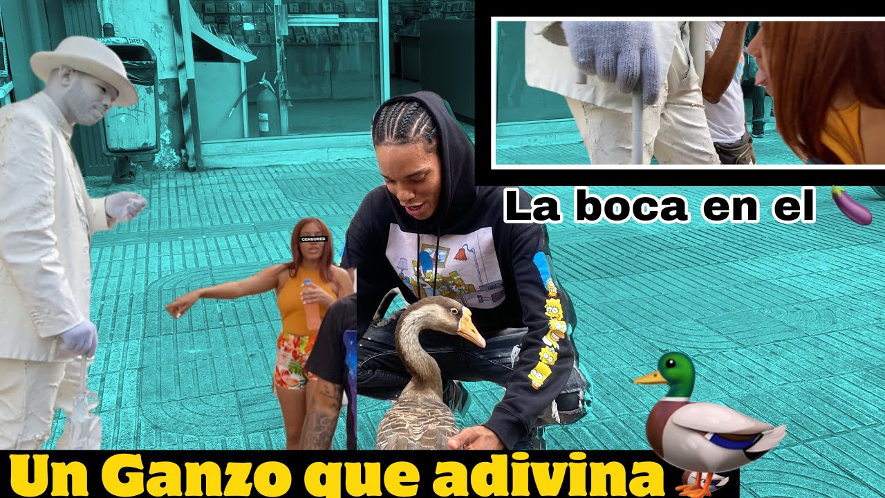 En la zona colonial encontramos de todo YouTube