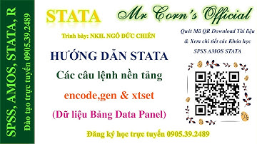 STATA Các câu lệnh nền tảng encode,gen & xtset (Dữ liệu Bảng Data Panel) 26092023