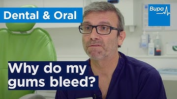Why do my gums bleed? | Bupa Health