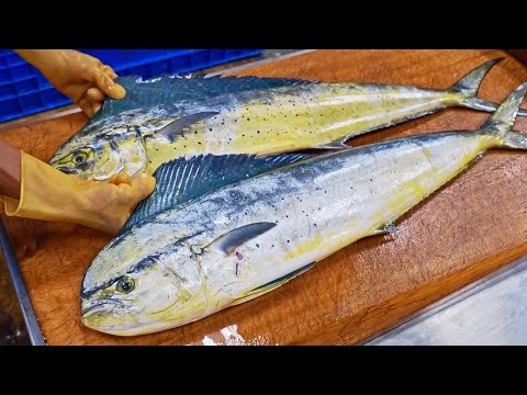 Video: Djuphavsmonsterfisk. Flodmonsterfisk