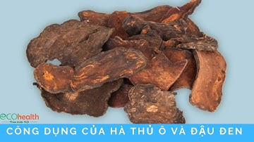 Hà Thủ ô Và đậu đen Có Công Dụng Gì, Dùng Như Thế Nào?