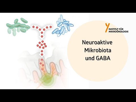 Video: 4 Möglichkeiten, GABA . zu erhöhen