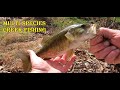 CREEK FISHING IN THE FALL! (Will anything be biting?)