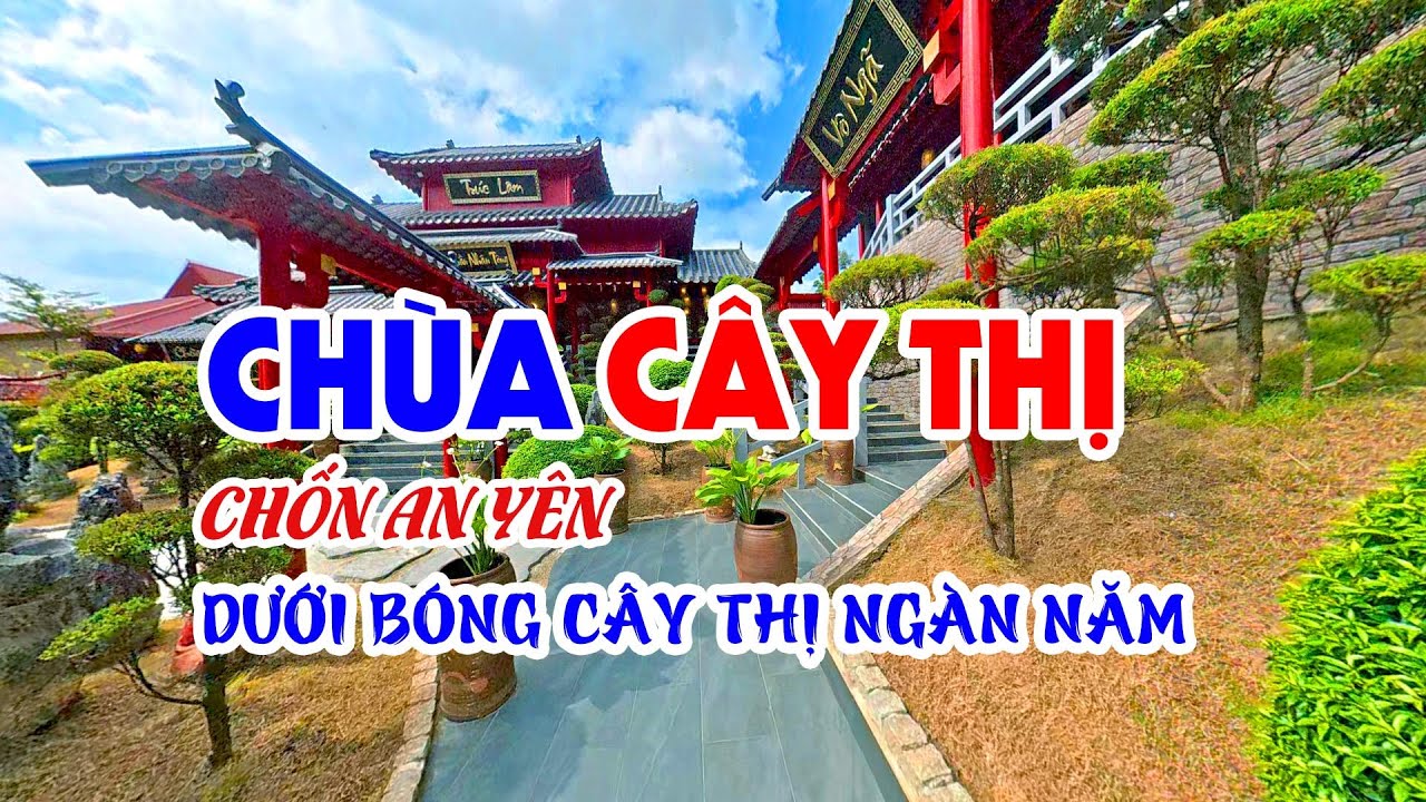 Chùa Cây Thị - Chốn an yên dưới bóng cây thị ngàn năm.