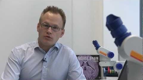 Simon Hippenmeyer on MADM technique