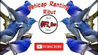 Mp3 Pikat Kehicap Ranting Ribut