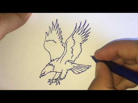 تعلم رسم خطوة خطوة نسر سهل جدا برصاص