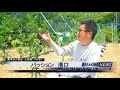 伊勢志摩にパッションフルーツ??　パッション溝口!!