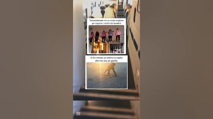 Cosa vedi??☠️😂🤌#memes #memeita #memesdaily #scuola #divertente #italia #meme #funny #ridere