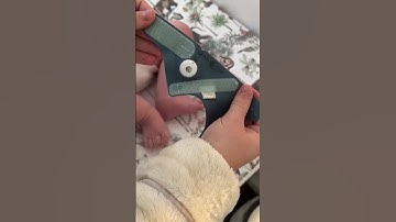 Owlet Dream Sock®- Bedtime Blue